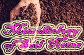 BSc 2nd Year Microbiology of Soil Notes Study Material